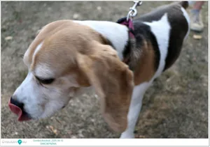 Fotók: Útirány.hu