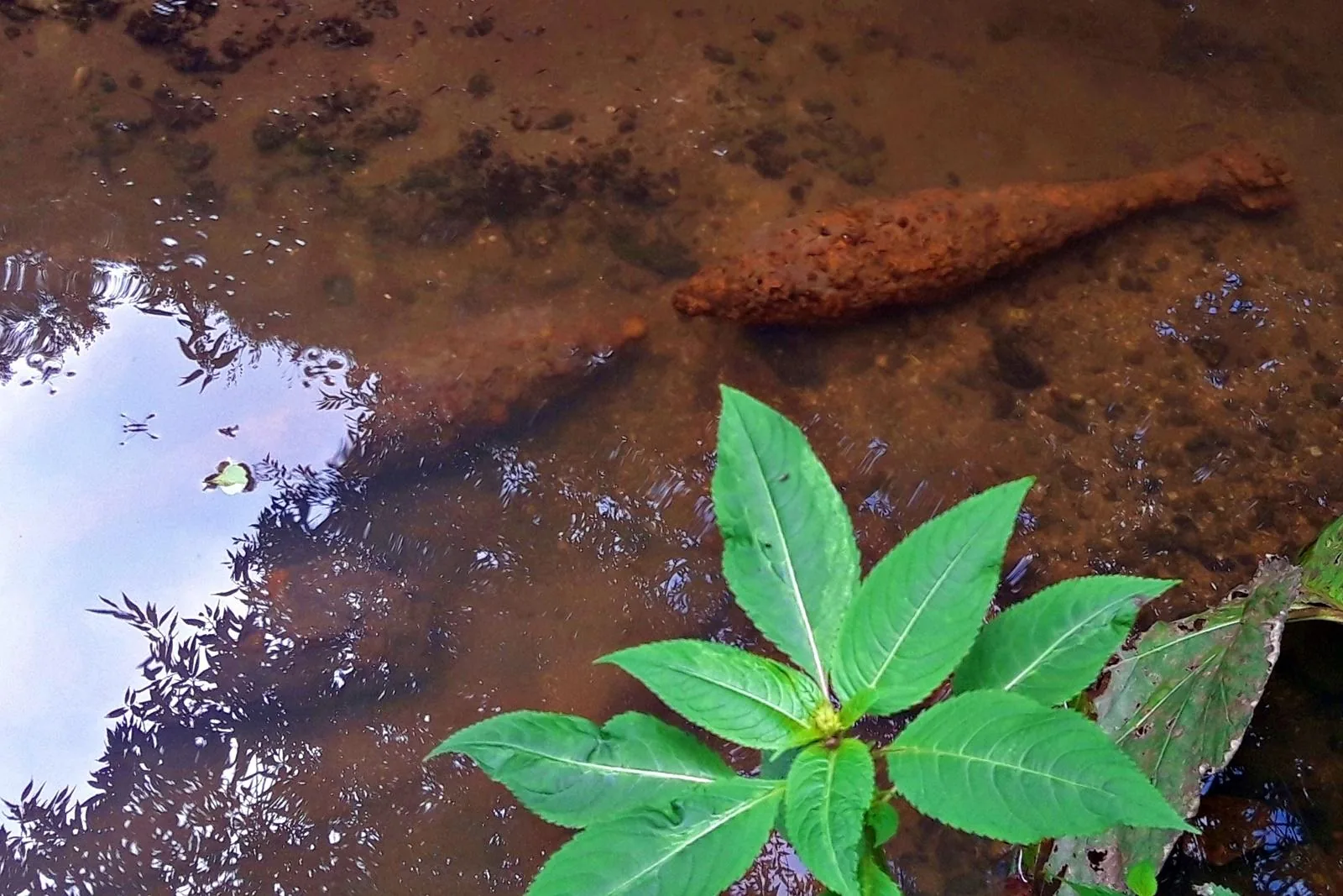Fotók: Kapitány Gábor hadnagy, Vass Tamás főtörzsőrmester