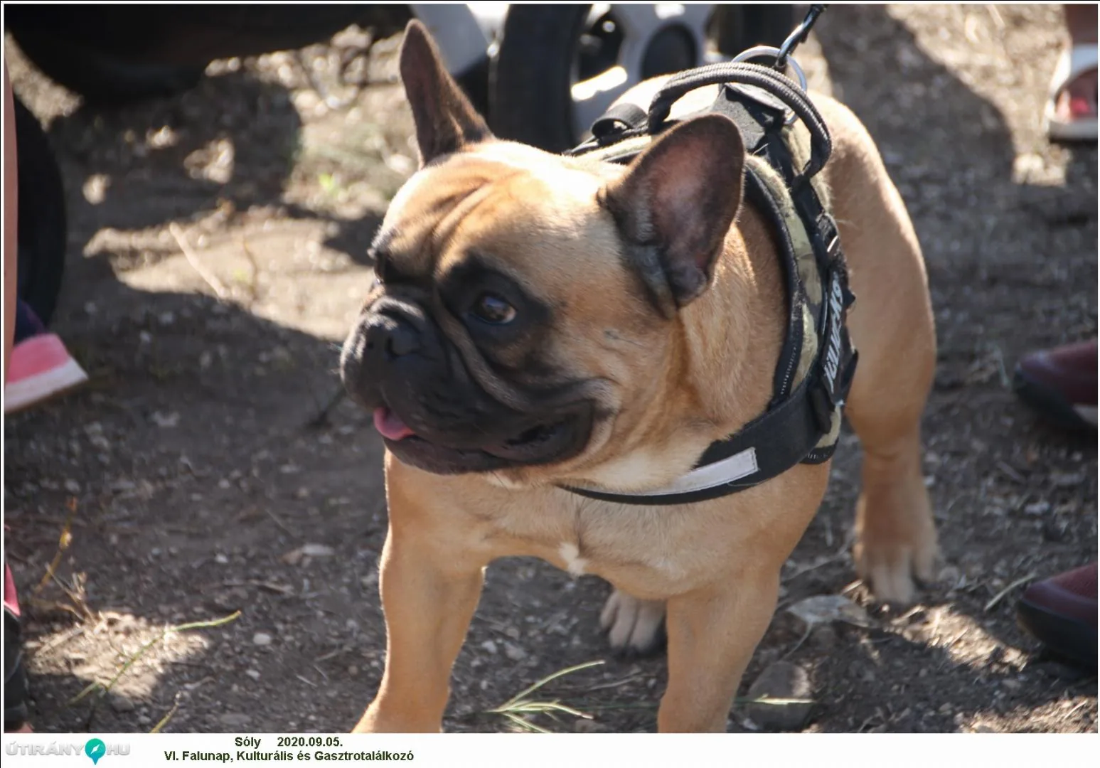 Falunap 2020, Fotó: Útirány.hu