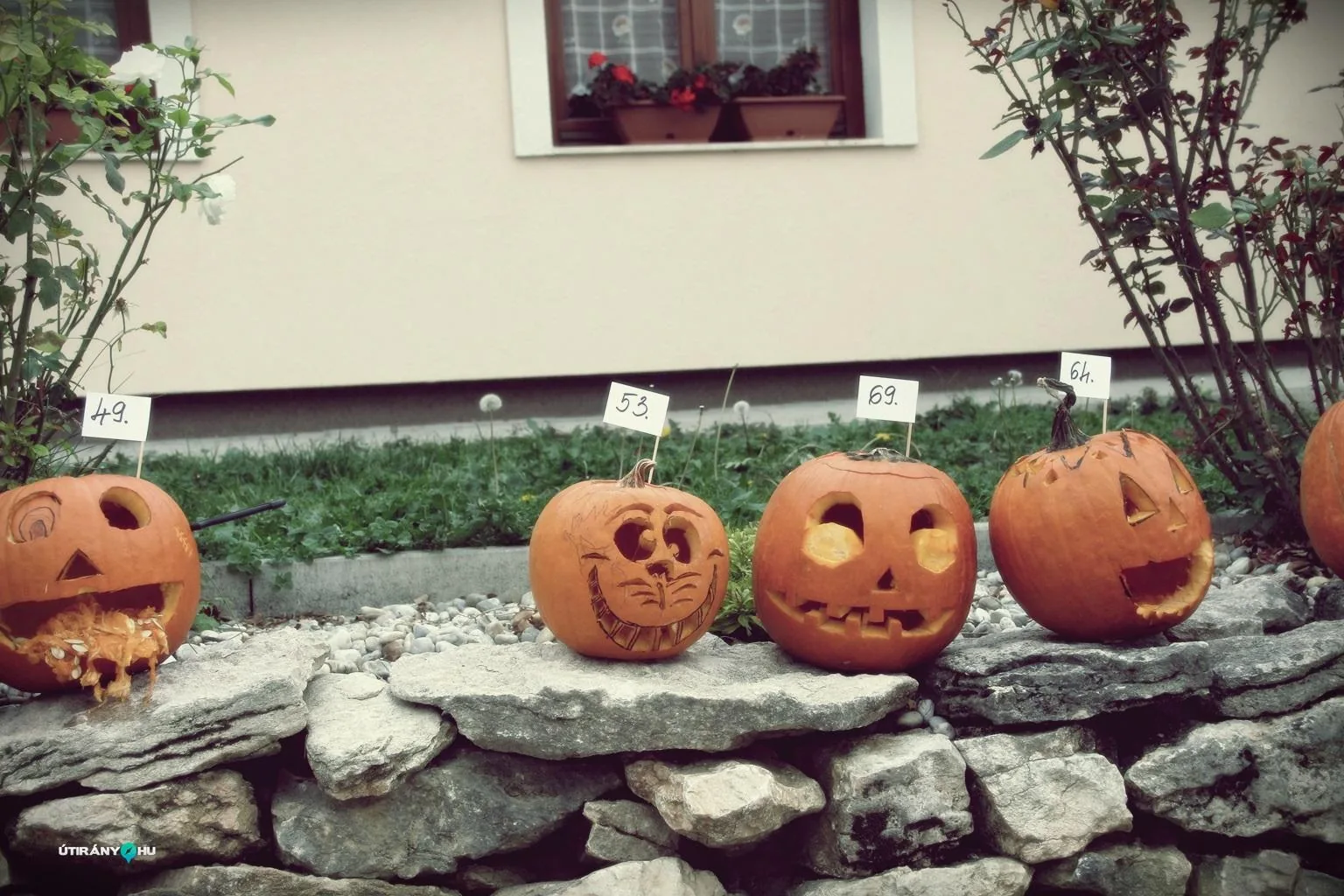 Tökfesztivál 2018. Fotók: Útirány.hu