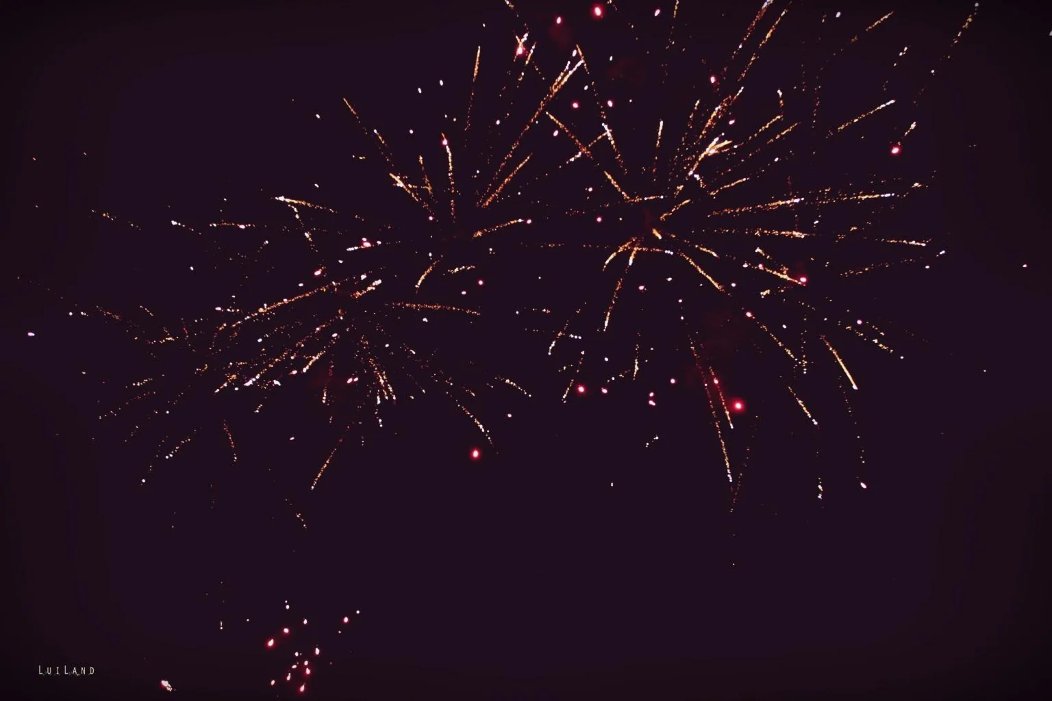 Nyárbúcsúztató főzőverseny, Fotó: LuiLand 