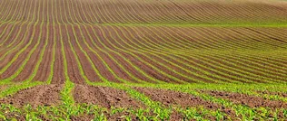 Közös ügyeinkről közösen borítóképe