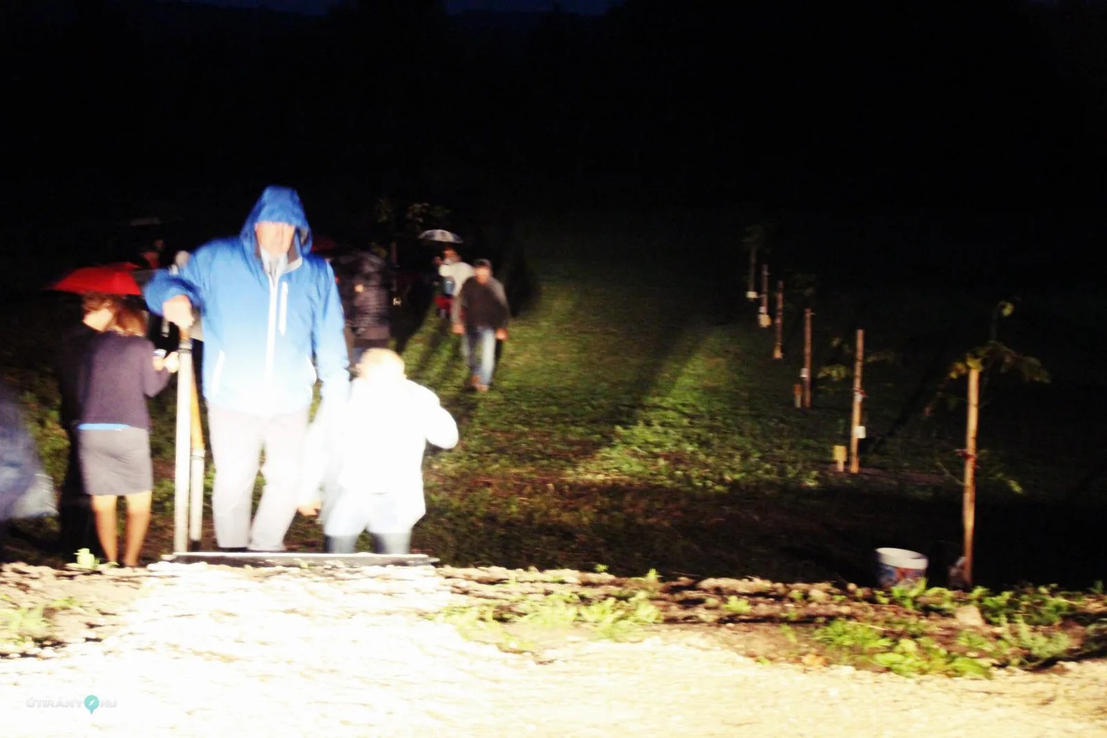 Teremtés Napja - Család-fa ültetés / Fotók: Útirány.hu