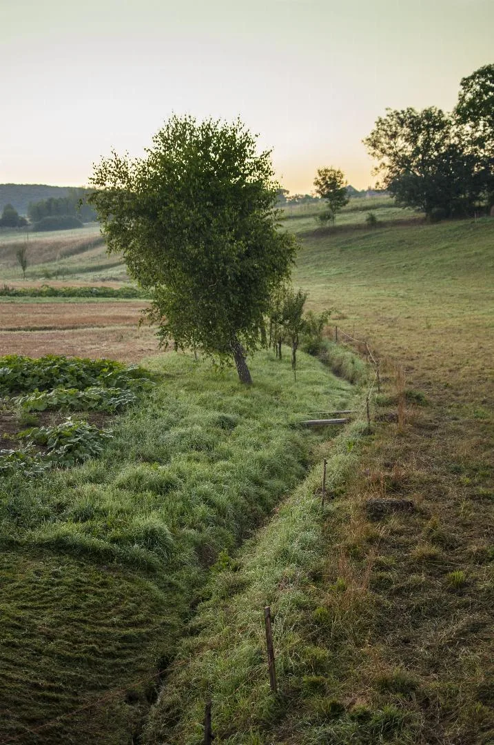 Fotó: Pesty Márton