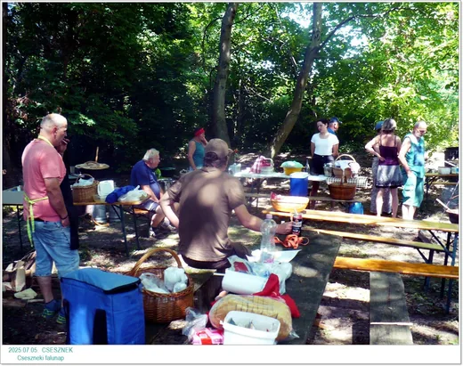 'Cseszneki falunap' cikk borítóképe