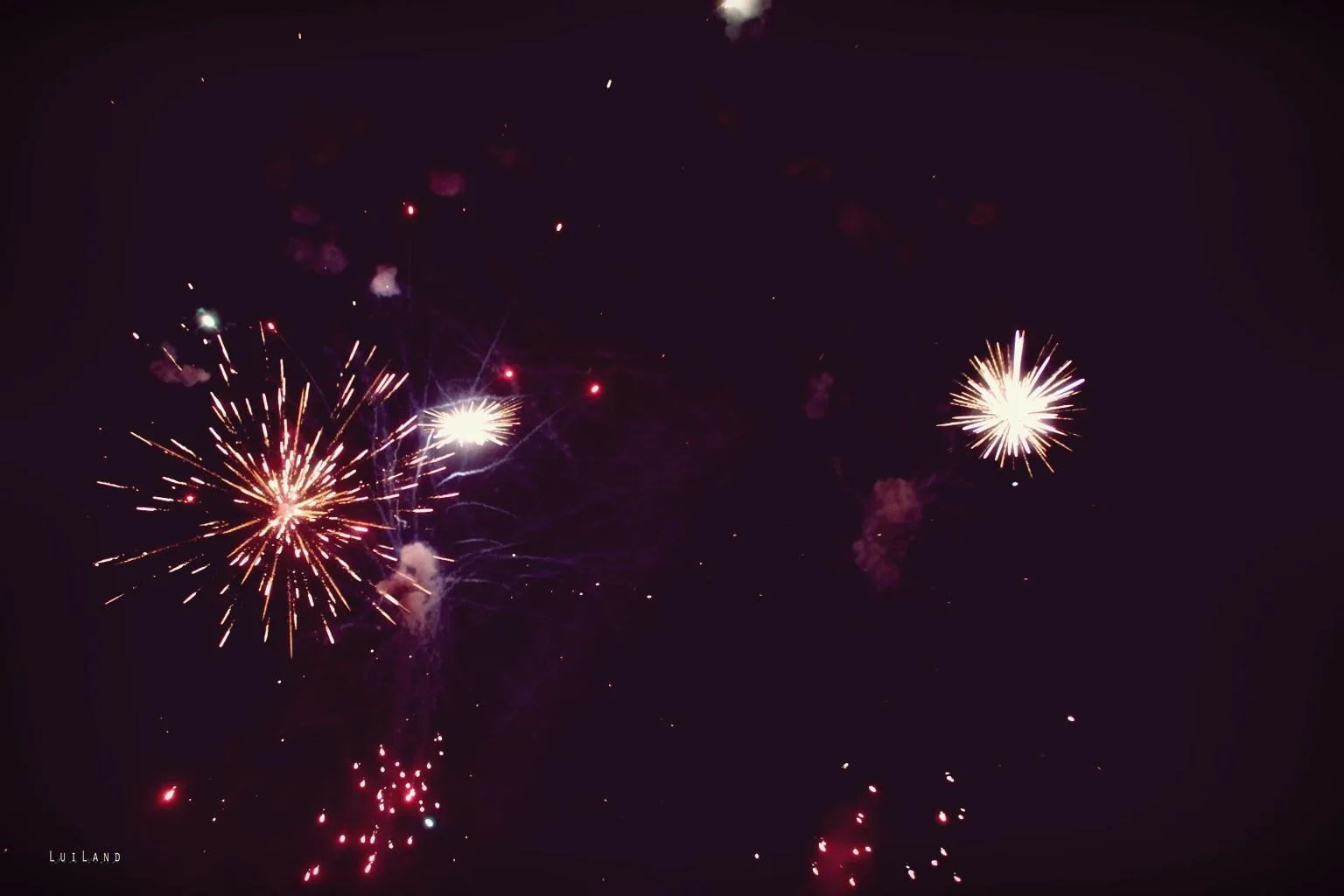 Nyárbúcsúztató főzőverseny, Fotó: LuiLand 