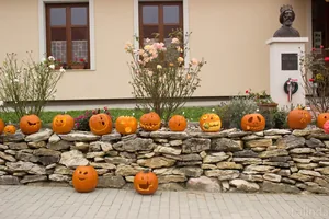 Fotók 1 album: Babai Lalinda