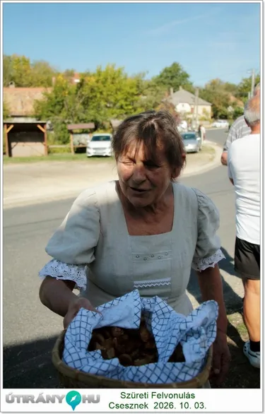 Szüreti Felvonulás