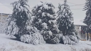 Fotó: Veinperlné Kovács Andrea