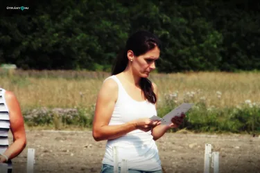 V. Sólyi Falunap