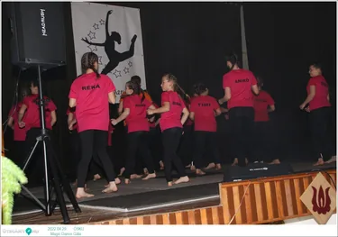 Magic Dance Jótékonysági Gála Öskü