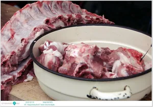 Fotók: Útirány.hu