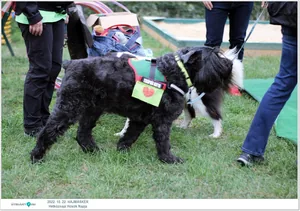 Fotók, Útirány.hu