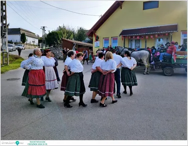 Szüreti felvonulás és Bál