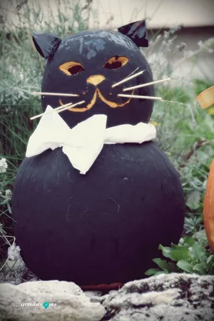 Tökfesztivál 2018. Fotók: Útirány.hu