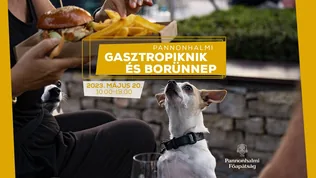 Pannonhalmi Gasztropiknik és Borünnep borítóképe