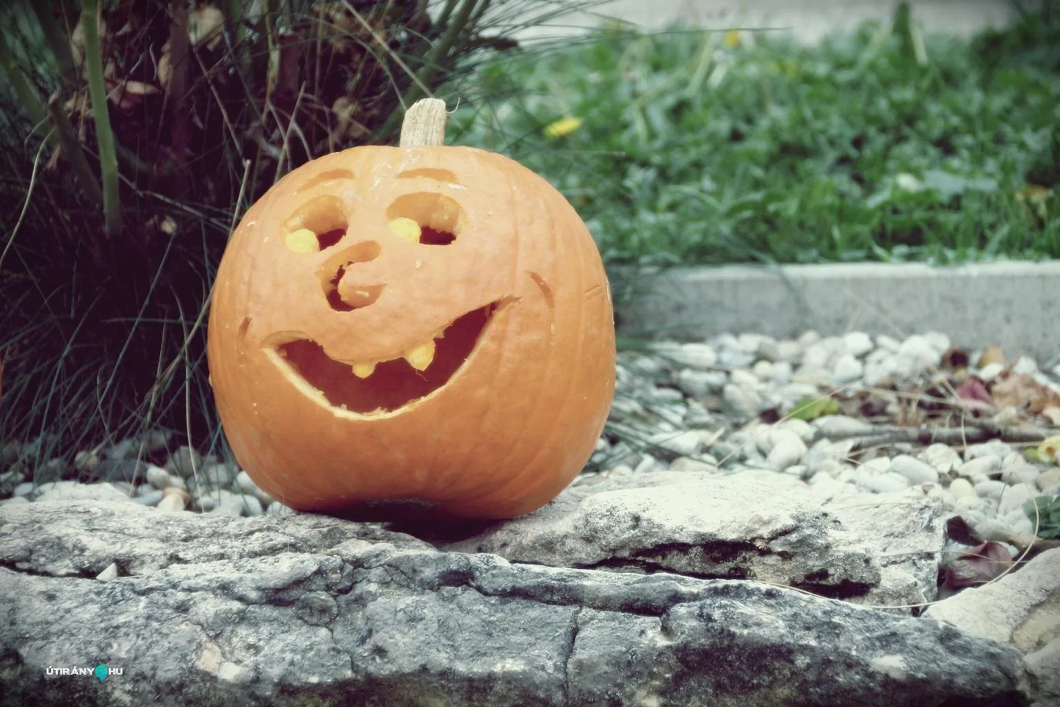 Tökfesztivál 2018. Fotók: Útirány.hu