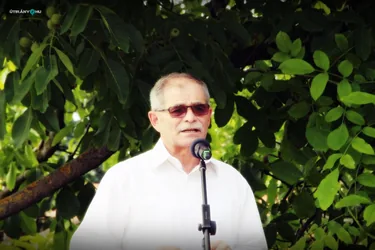 V. Sólyi Falunap