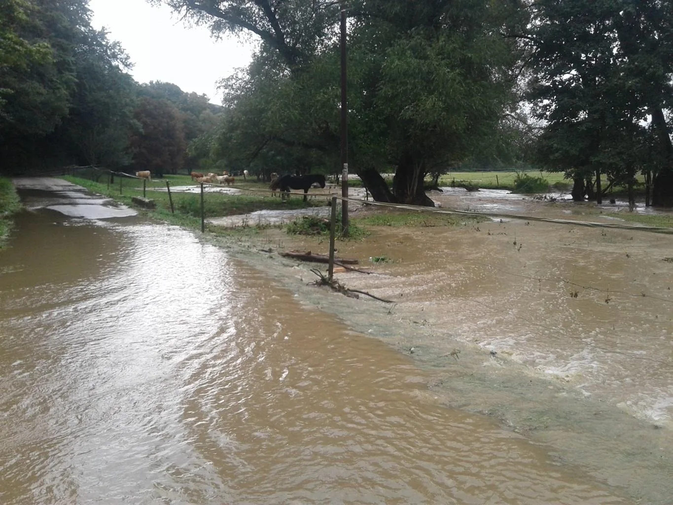 Gerence Pénzesgyőr 2018.09.04.