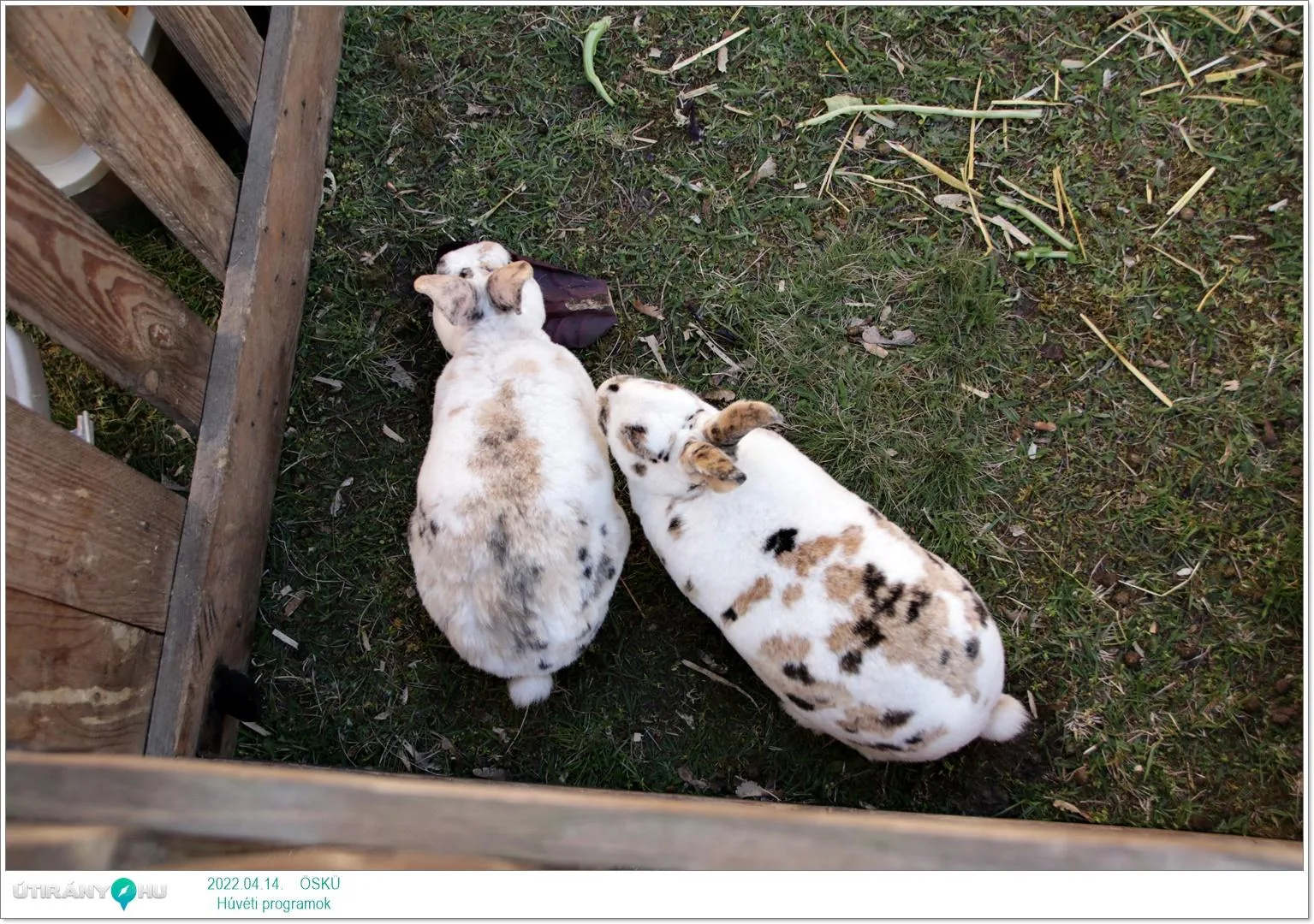 2022.04.14. csütörtöki nap Fotók: Útirány.hu