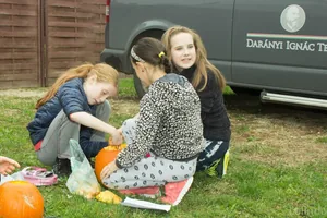 Fotók 1 album: Babai Lalinda