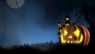 Tök-Jó program borítóképe