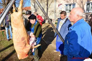 Fotók: Kovács István