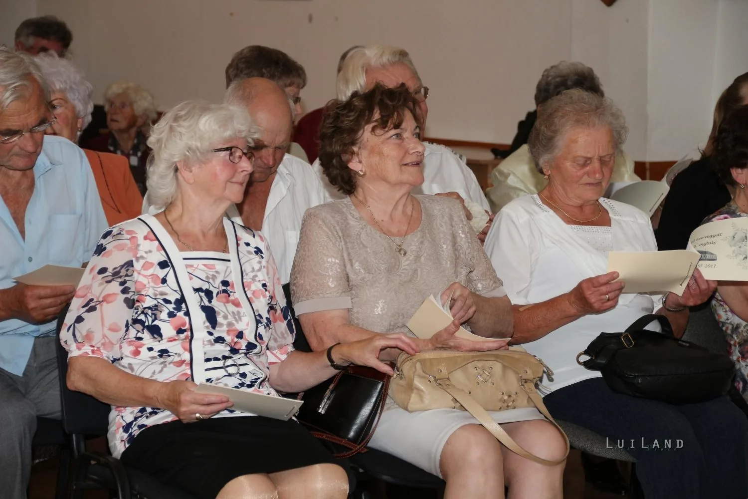 2017 Ösbő Vezér napok /péntek/, képekben.