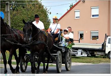 Szüretelő Falunap Szentkirályszabadja