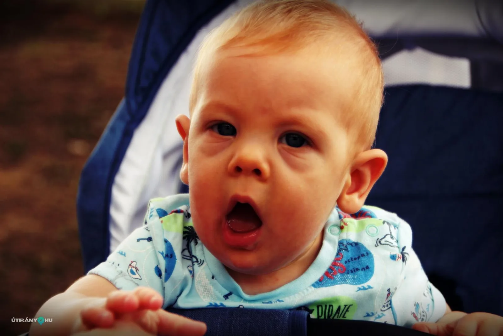 Gombócfesztivál 2019. / Fotók: Útirány.hu