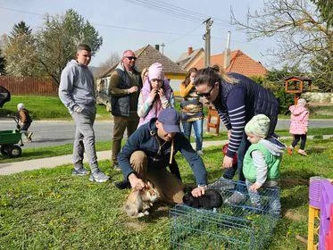 Képek az eseményről, Fotók: Önkormányzat
