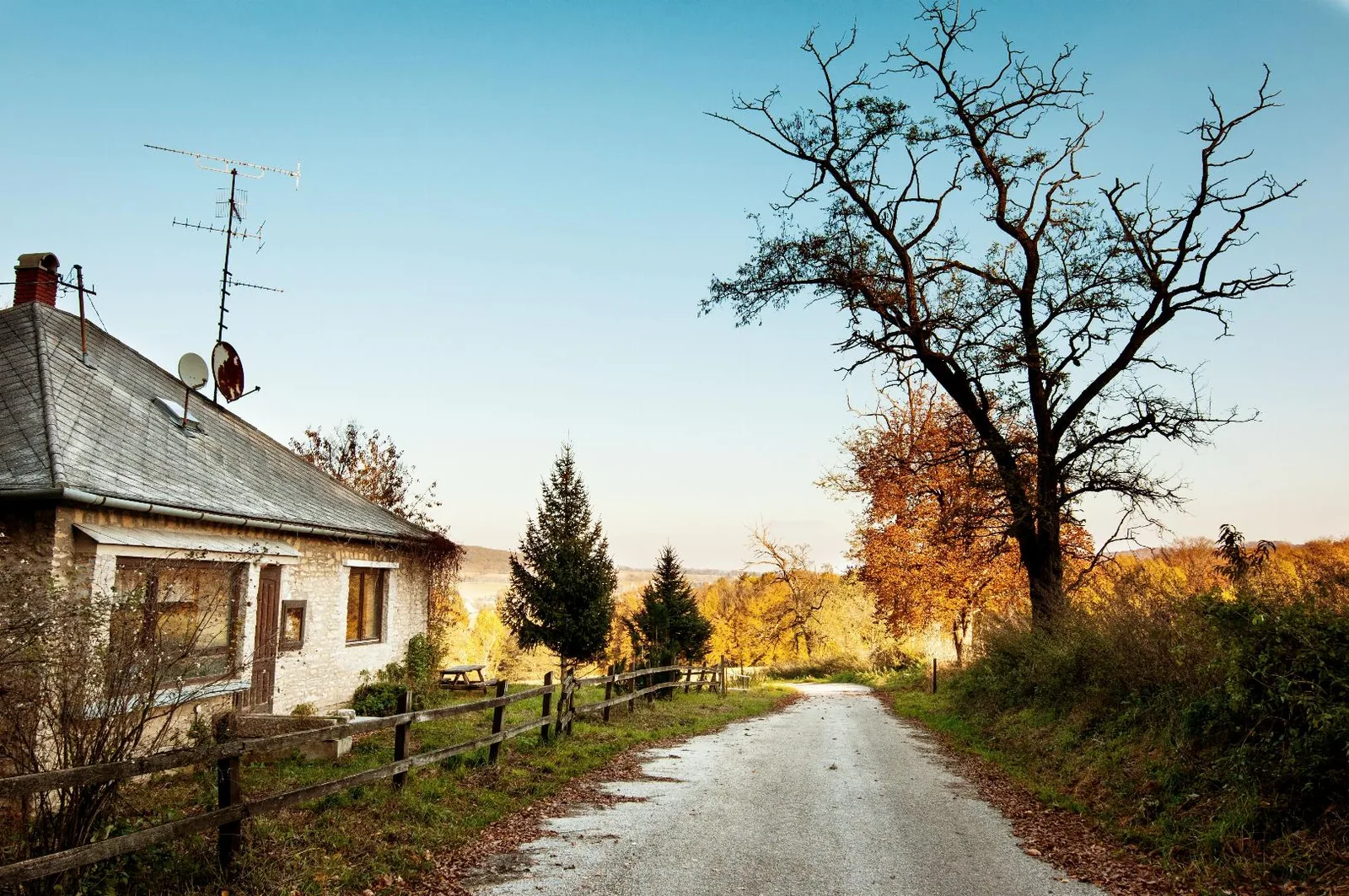 Fotó: Pesty Márton