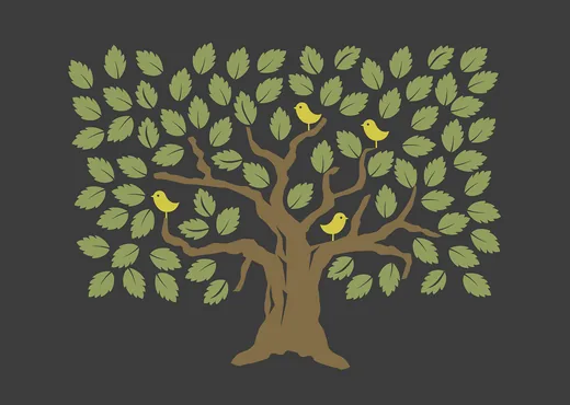 'Madarak és fák napja' cikk borítóképe