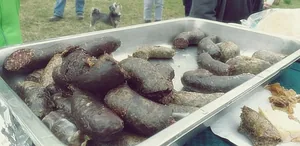 2019 Nemzeti Emléktúra képekben. Fotók: Kaptur József