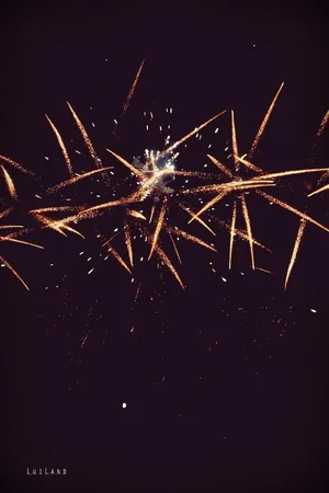 Nyárbúcsúztató főzőverseny, Fotó: LuiLand 