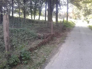 Gerence Pénzesgyőr 2018.09.04.