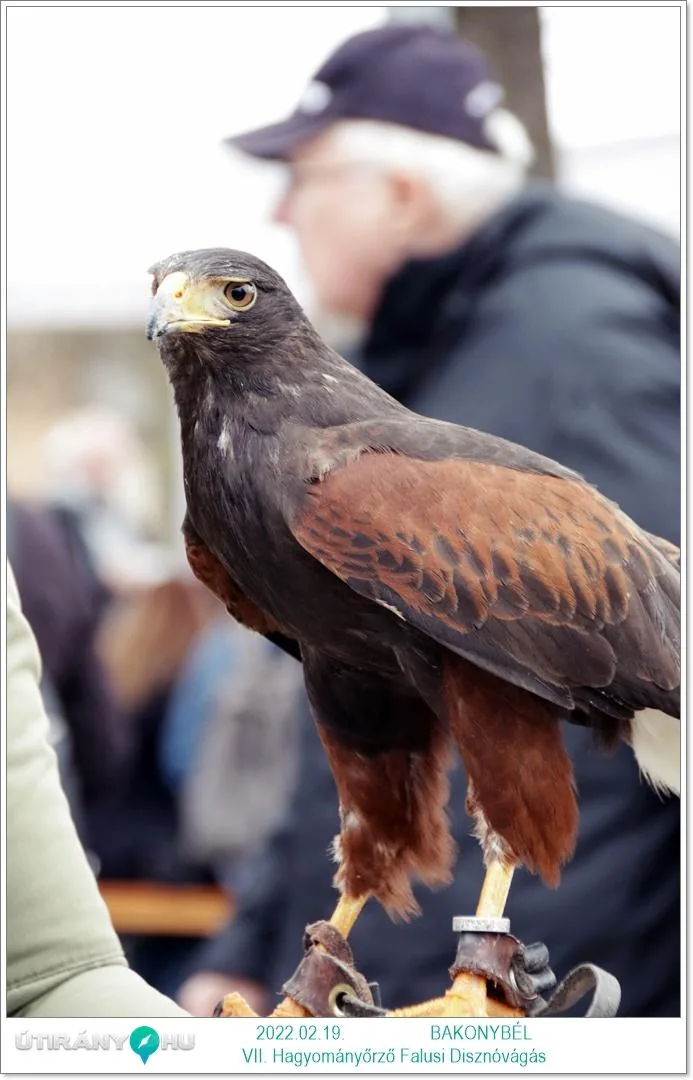 Fotók: Útirány.hu