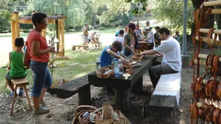 Bakonybéli Fa-ünnep borítóképe