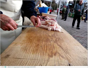 Fotók, Útirány.hu