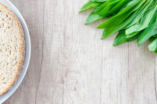 'Kirándulj a medvehagymáért! - Van két ajánlatunk' cikk borítóképe