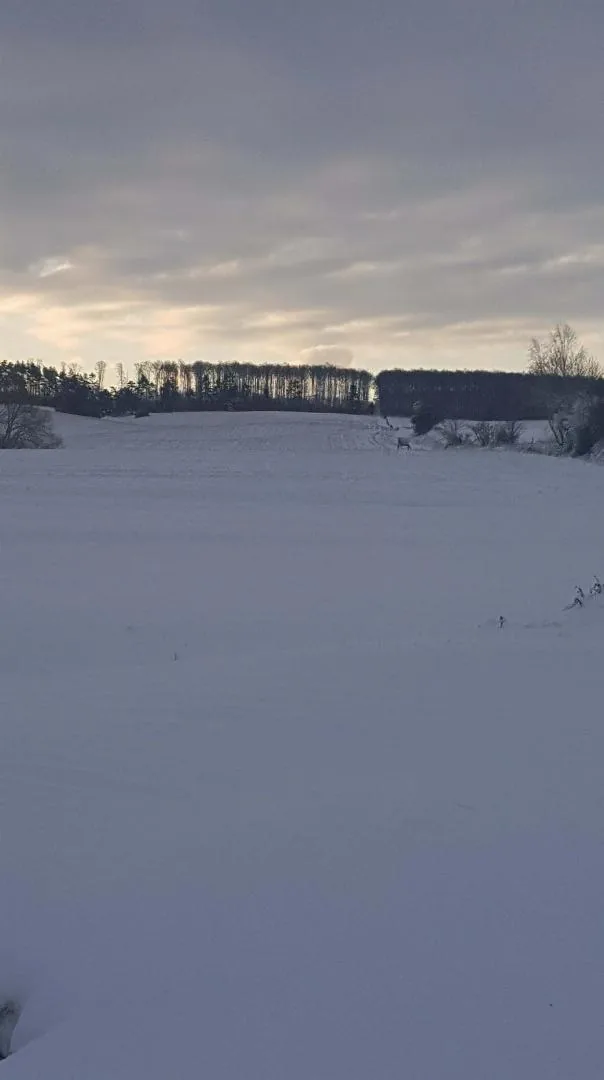 Fotó: Veinperlné Kovács Andrea