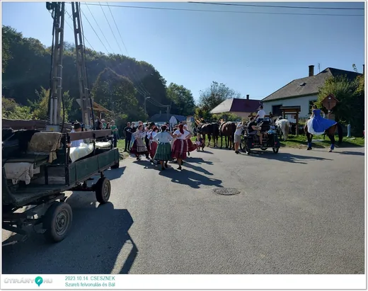 'XVI. Cseszneki Szüreti Felvonulás' cikk borítóképe