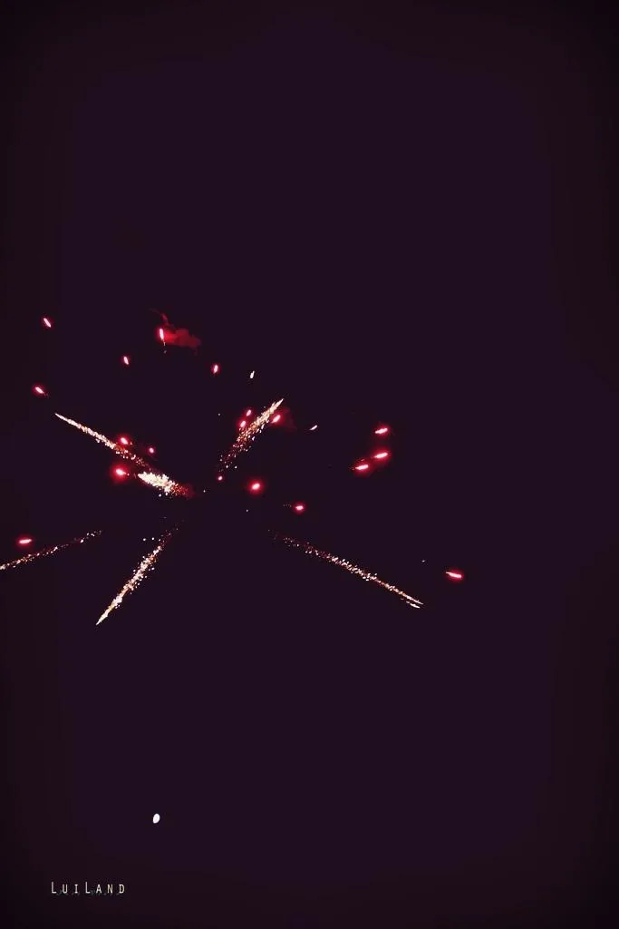 Nyárbúcsúztató főzőverseny, Fotó: LuiLand 