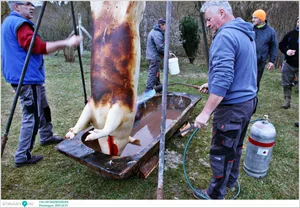 Pénzesgyőr, Falusi Disznóvágás 2025