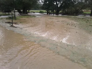 Kilépett medréből borítóképe