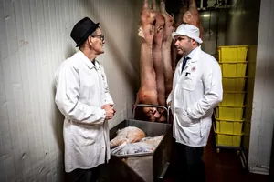 Képek: Horváth Dorottya