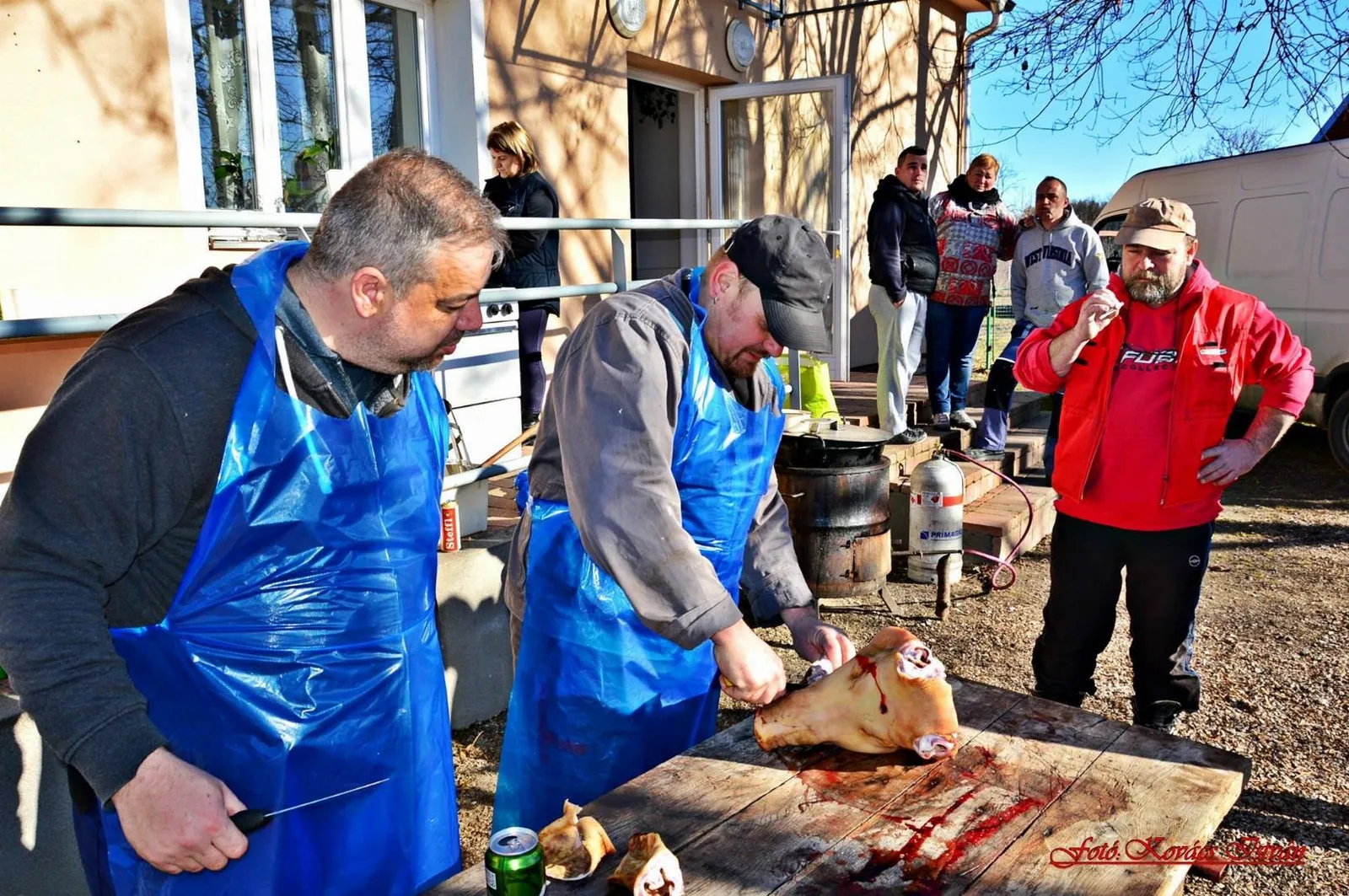Fotók: Kovács István
