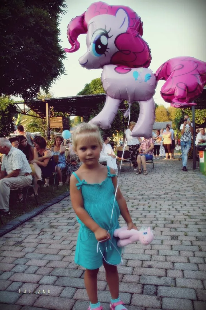 Millenniumi Falunap 2018, Képek: LuiLand