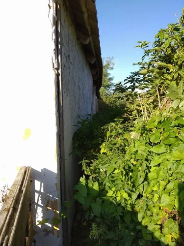 Kaptunk párdarab képet... Sajnos rosszabb mint gondoltuk