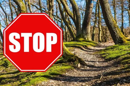 'Erdőlátogatási korlátozás!' cikk borítóképe